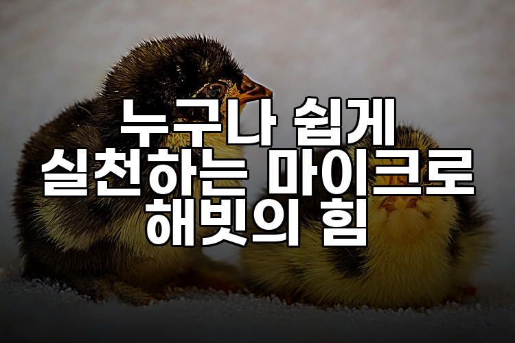 누구나 쉽게 실천하는 마이크로 해빗의 힘