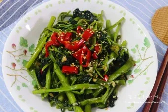 모닝글로리 쇼핑몰 다이어리 달력 수척 필통 추천_6