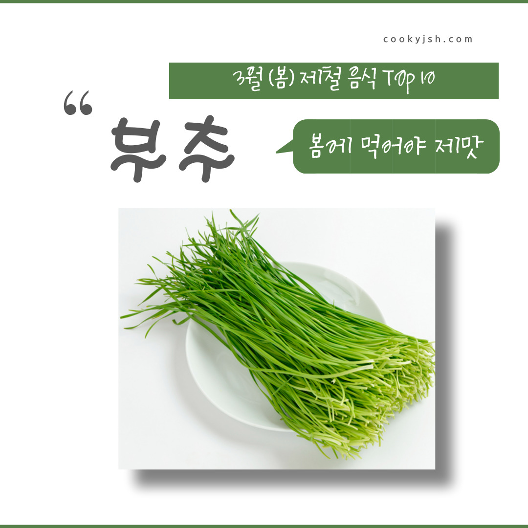 3월에 먹으면 좋은 제철 음식(봄철 음식) - 부추편 (효능, 부추가 들어가는 음식)