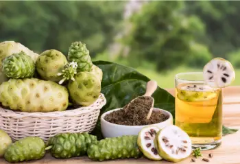 노니 효능 및 영양성분&amp;#44; 부작용과 주의점