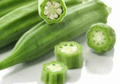 오크라 효능 재배법 손질 수확 요리 보관까지 한눈에 보기_4