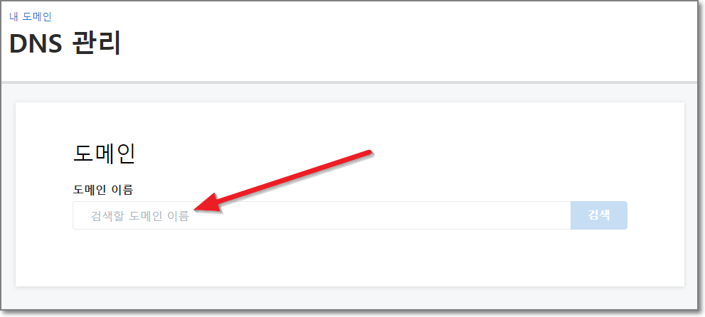 도메인 입력