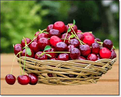 베타카로틴 많은 체리