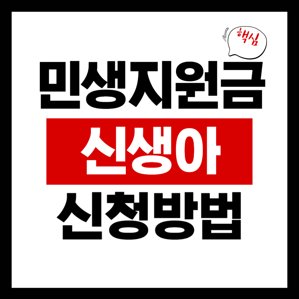 2025 민생지원금 신생아 소비쿠폰 신청방법 핵심 요약 썸네일