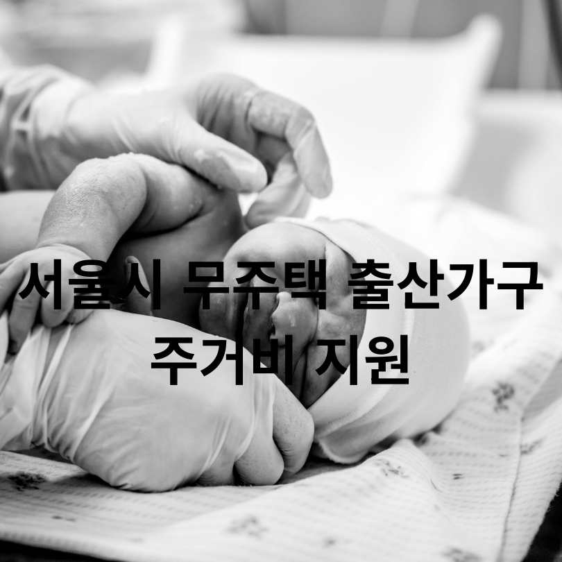 서울시 무주택 출산가구 주거비 지원