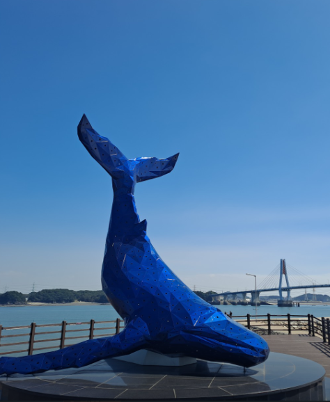 [6시 내고향] 인천 영흥도 십리포해수욕장 서어나무군락지&amp;#44; 노가리해변&amp;#44; 전망대&amp;#44; 제트보트&amp;#44; 산악사륜오토바이&amp;#44; 실외낚시터&amp;#44; 횟집 정보