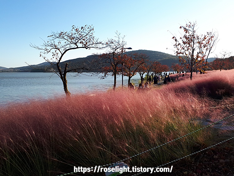 사랑글귀-부부명언-결혼글귀