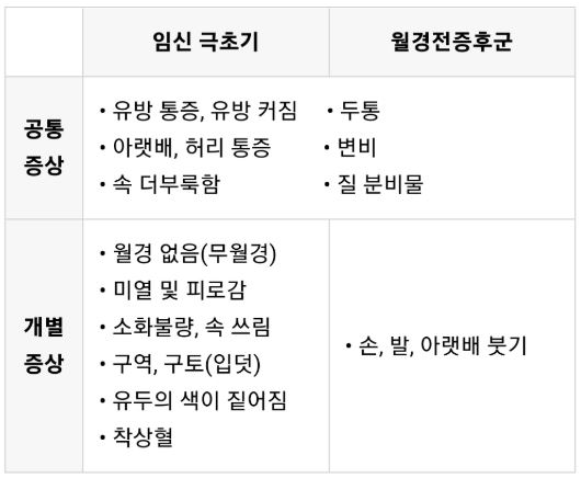 임신 초기 증상과 생리 전 증상 구분법