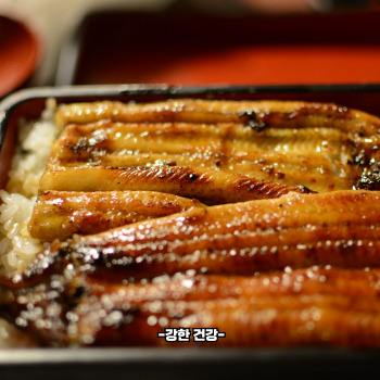 초복에 좋은 음식