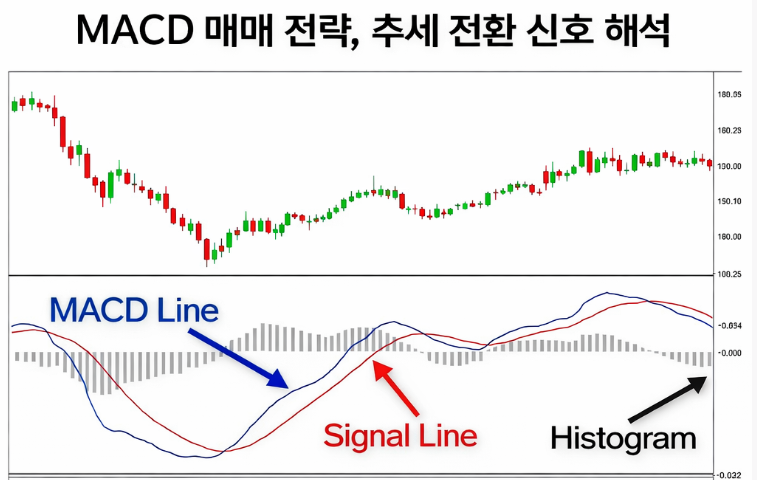 MACD 매매 전략, 추세 전환 신호 해석