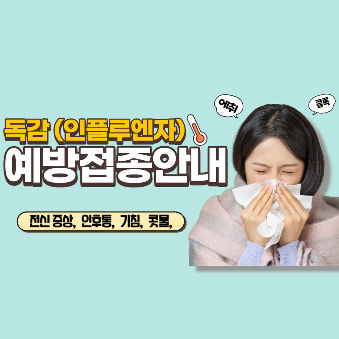 요즘 유행 독감 예방접종 안내및 증상 치료방법 안내 썸네일
