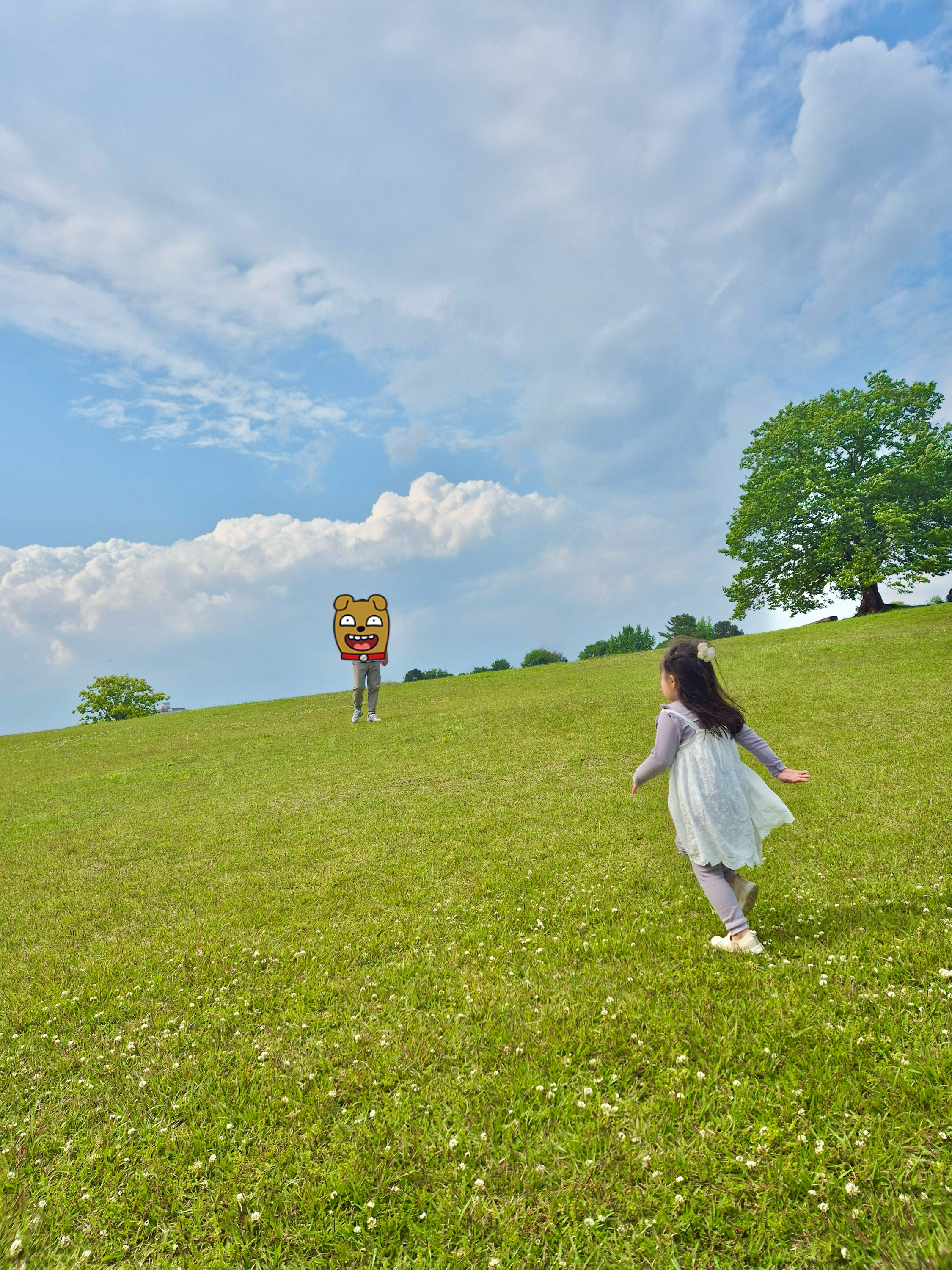 아이와가볼만한곳, 함안코스, 함안박물관말이산고분군