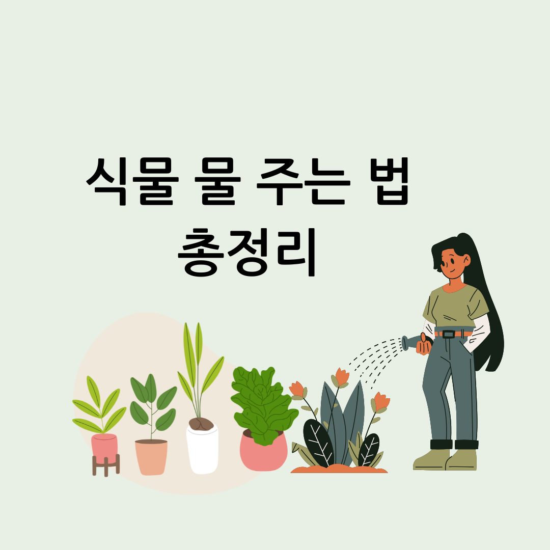 화분 물주기