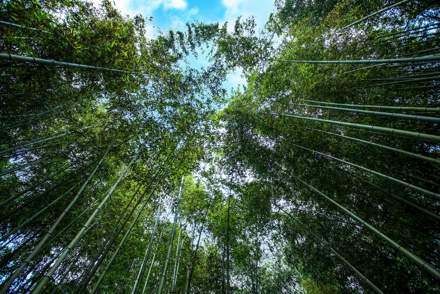 국내에서 해외여행 관련 사진