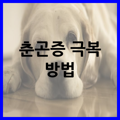 춘곤증