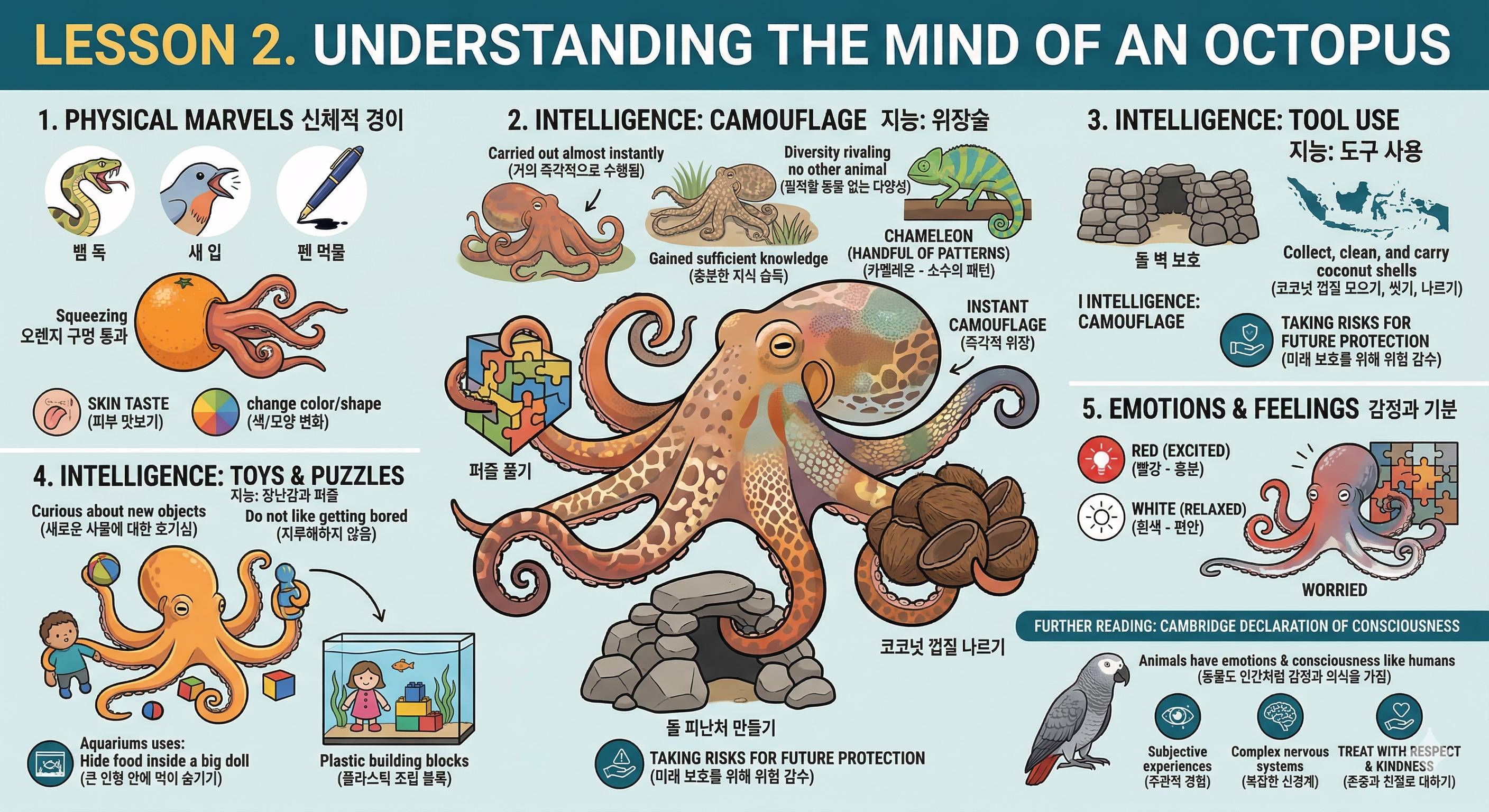 공통영어1 YBM 시사[박준언] 2과 
understanding the mind of an octopus.