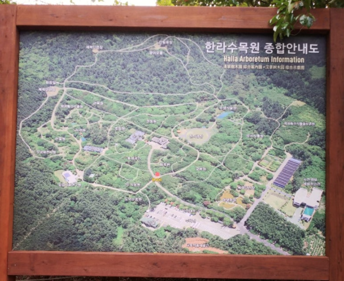 제주공항 근처 한라수목원 봄 벚꽃 여행코스 데이트코스 인생샷 명소 액티비티 현지인 맛집