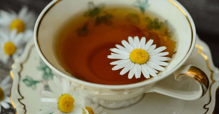 캐모마일 차 위에 캐모마일 꽃이 떠 있다
