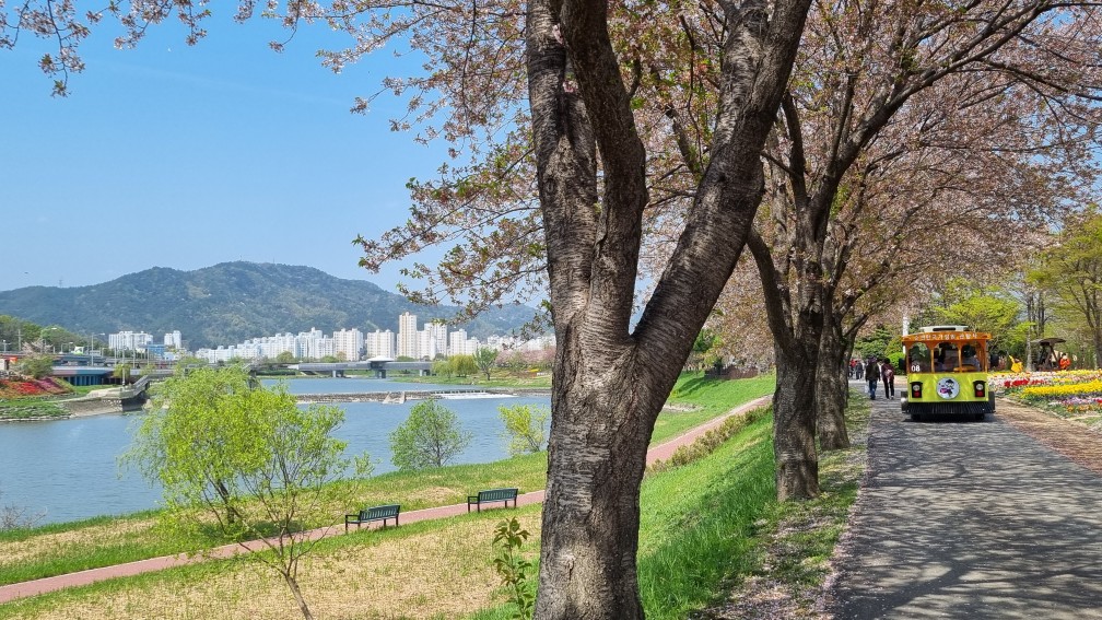 2026 순천만 국가정원 입장료 개화상황 등 총정리!