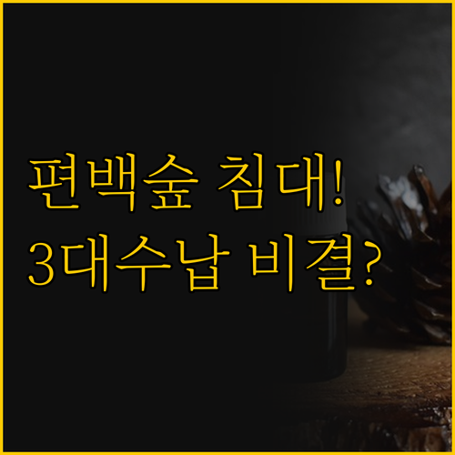 편백나무 향기와 3대 서랍 수납 침대..