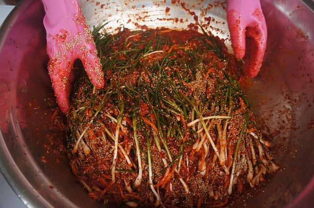 외국인의 눈에 비친 한국 전통 발효 식품과 그 속의 미세한 세계