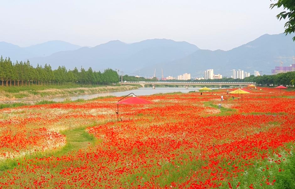 구례-서시천-생활환경숲
