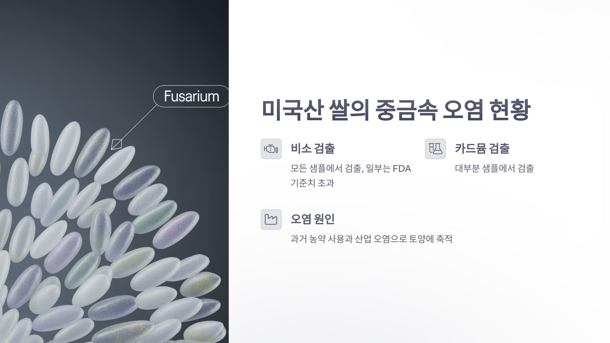 참조-미국쌀,-중금속-기준치-2