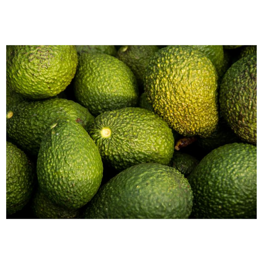 플라즈마로겐과 관련된 사진입니다.