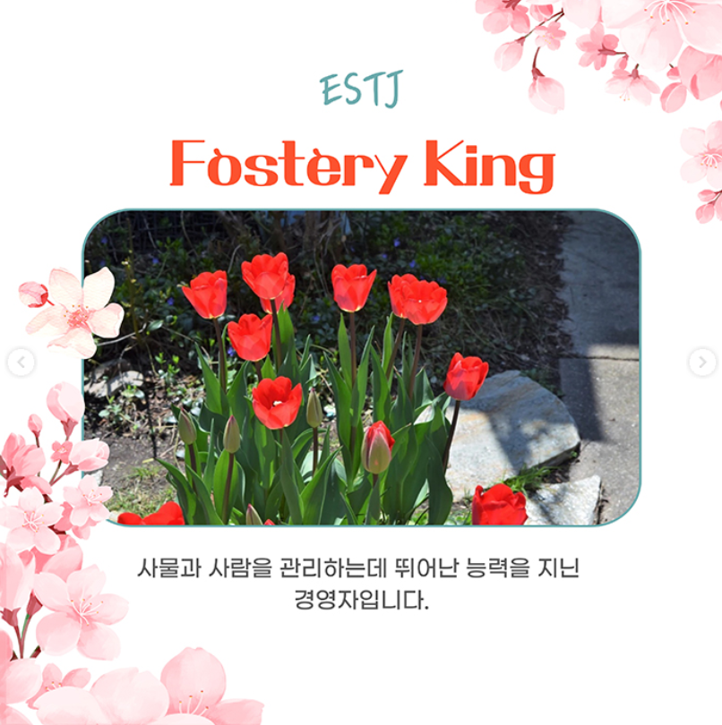 태안 세계튤립꽃박람회 추천