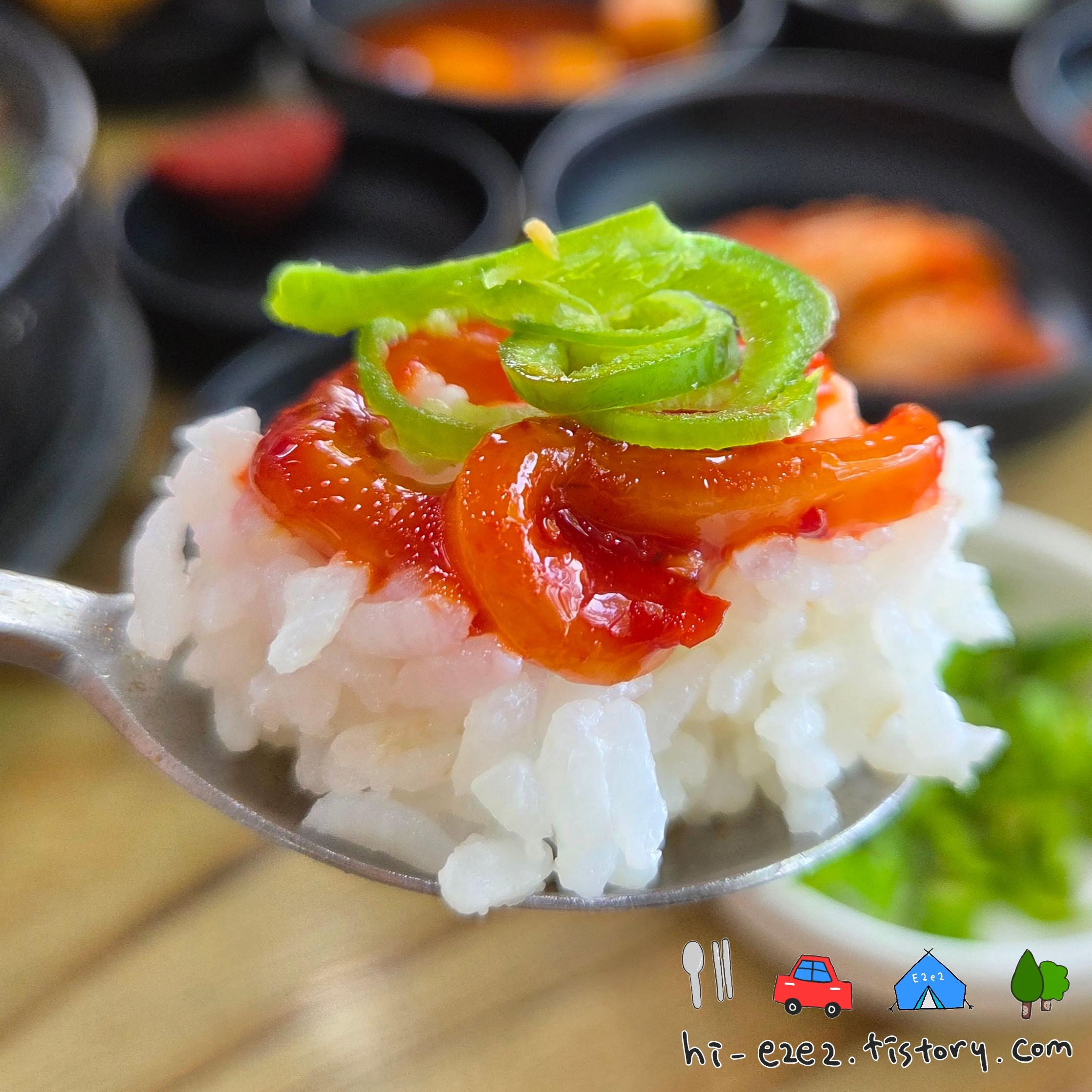 해남 맛집 신창손국밥집 오징어젓갈