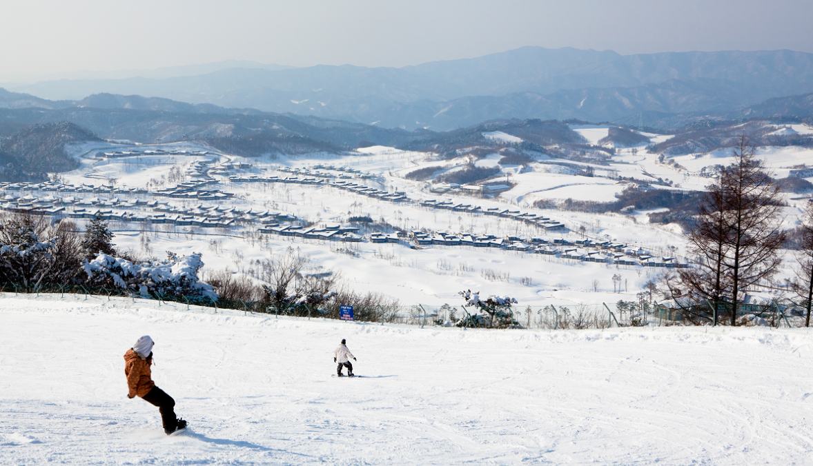 알펜시아리조트 스키장 사진