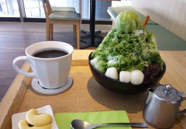 티가든 젠카쇼인