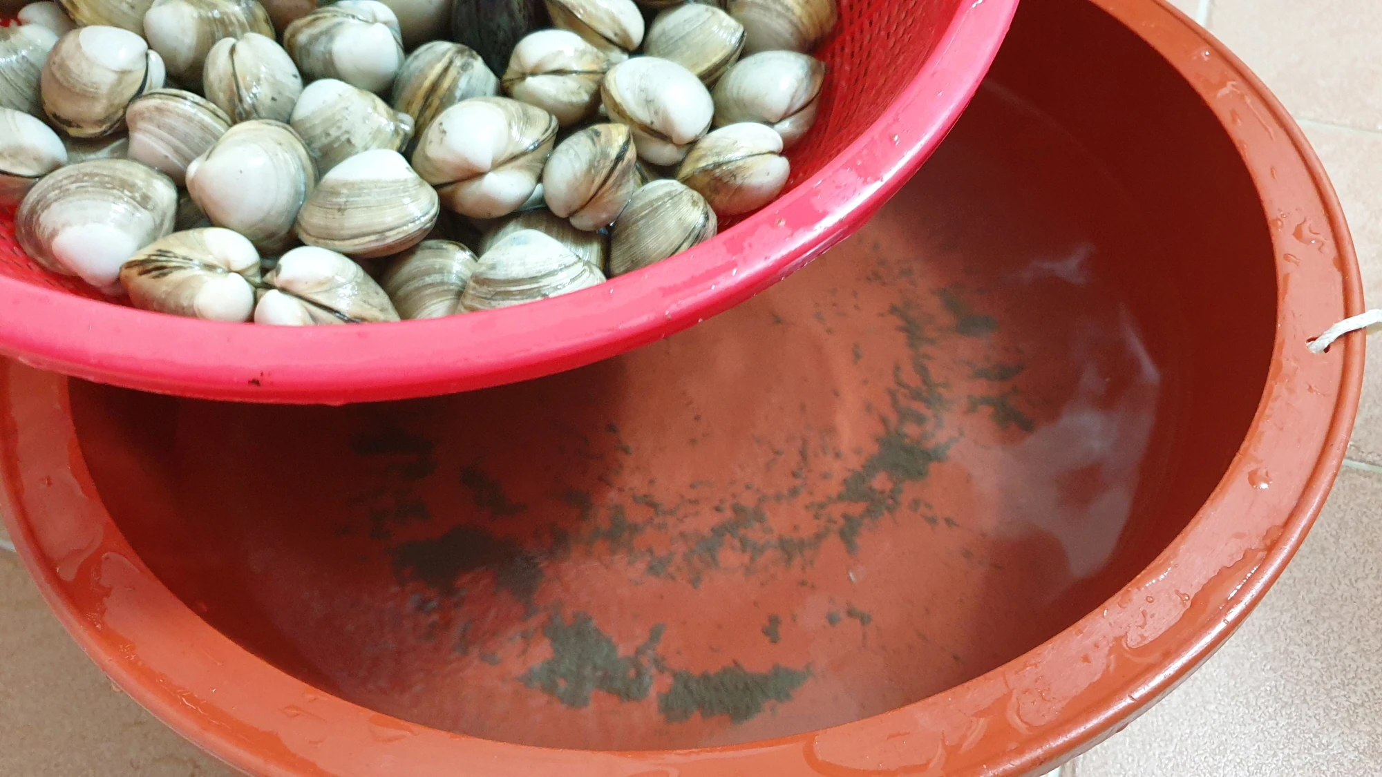 조개가 뱉은 뻘과 모래