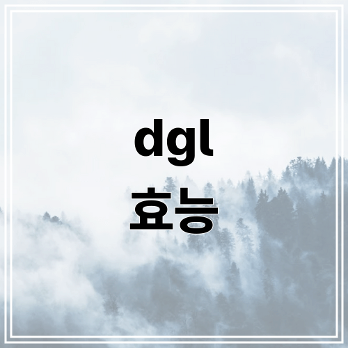 dgl 효능