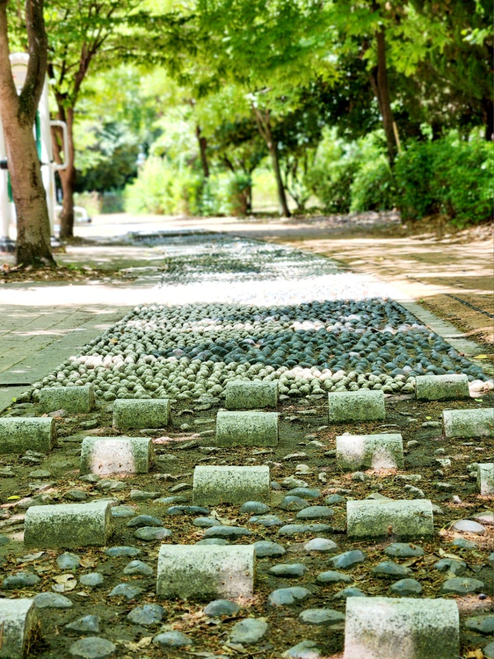 대구 호산공원 지압산책로