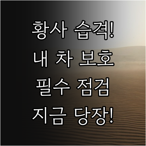 내 차를 지키는 황사철 필수 차량 점..