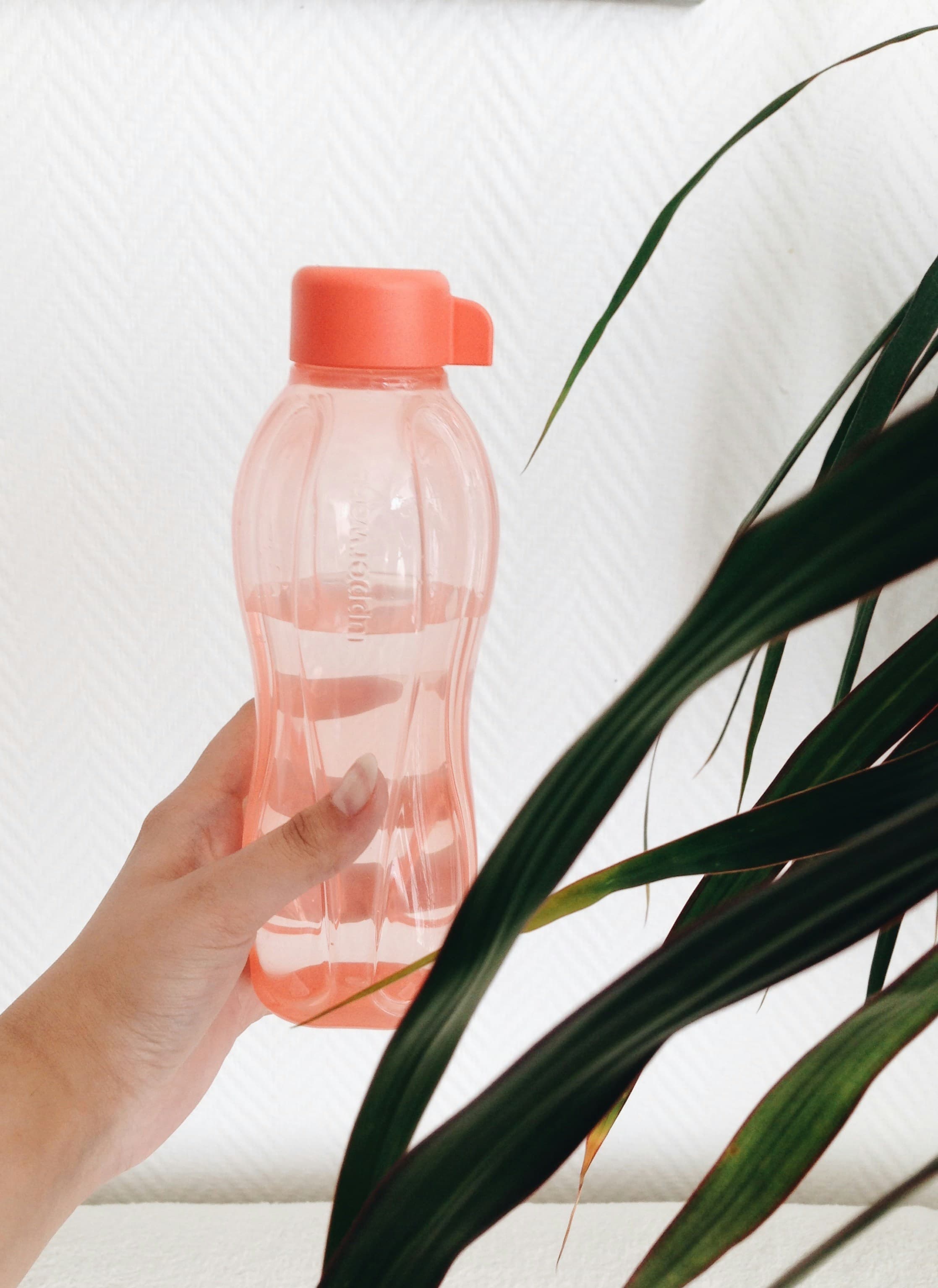 가정에서 쉽게 실천하는 제로 웨이스트 습관(zero waste)