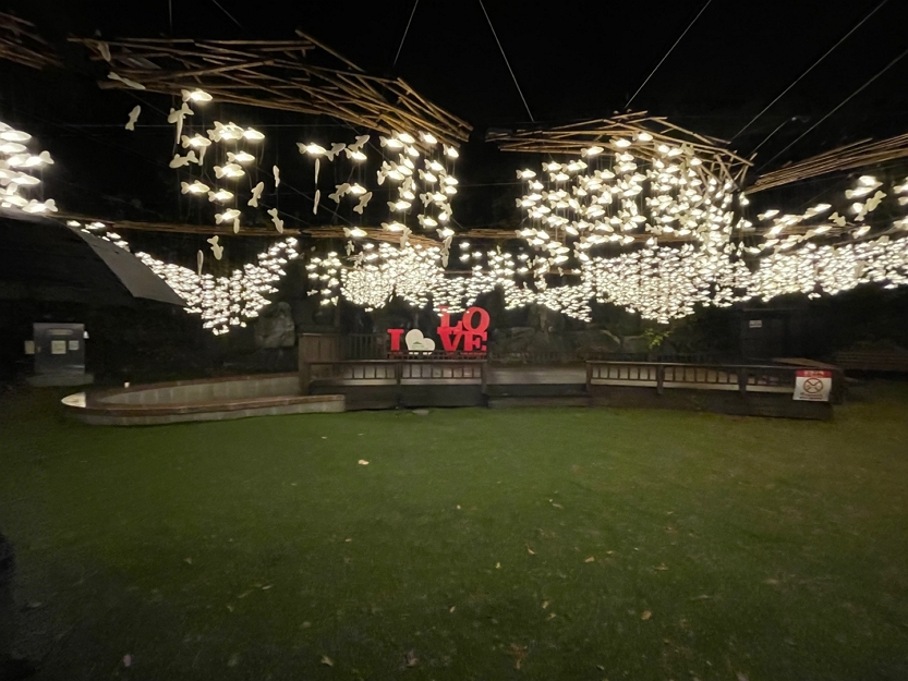 파주 동화힐링캠핑장 카라반 글램핑