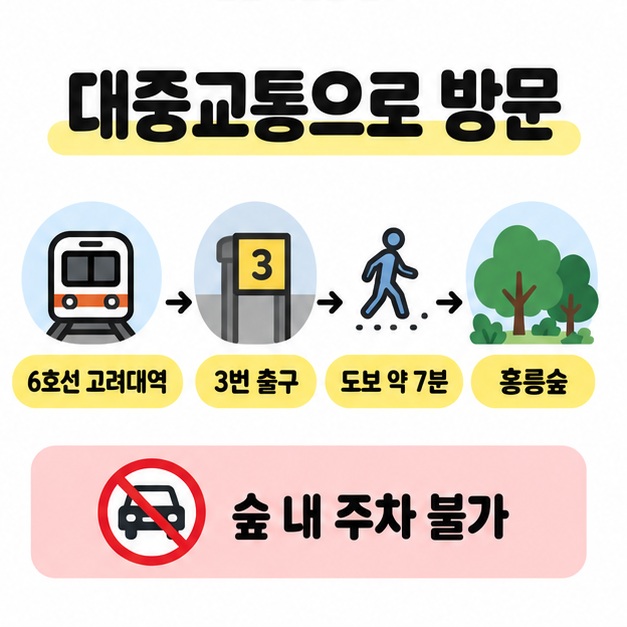 6호선 고려대역에서 3번 출구를 거쳐 도보 약 7분으로 홍릉숲에 도착하는 흐름과 숲 내 주차 불가 표시를 함께 보여주는 도식