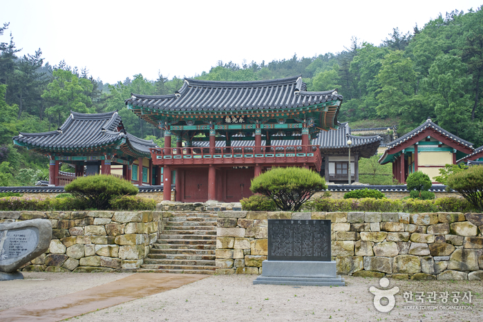 영천 가볼만한곳 BEST 10