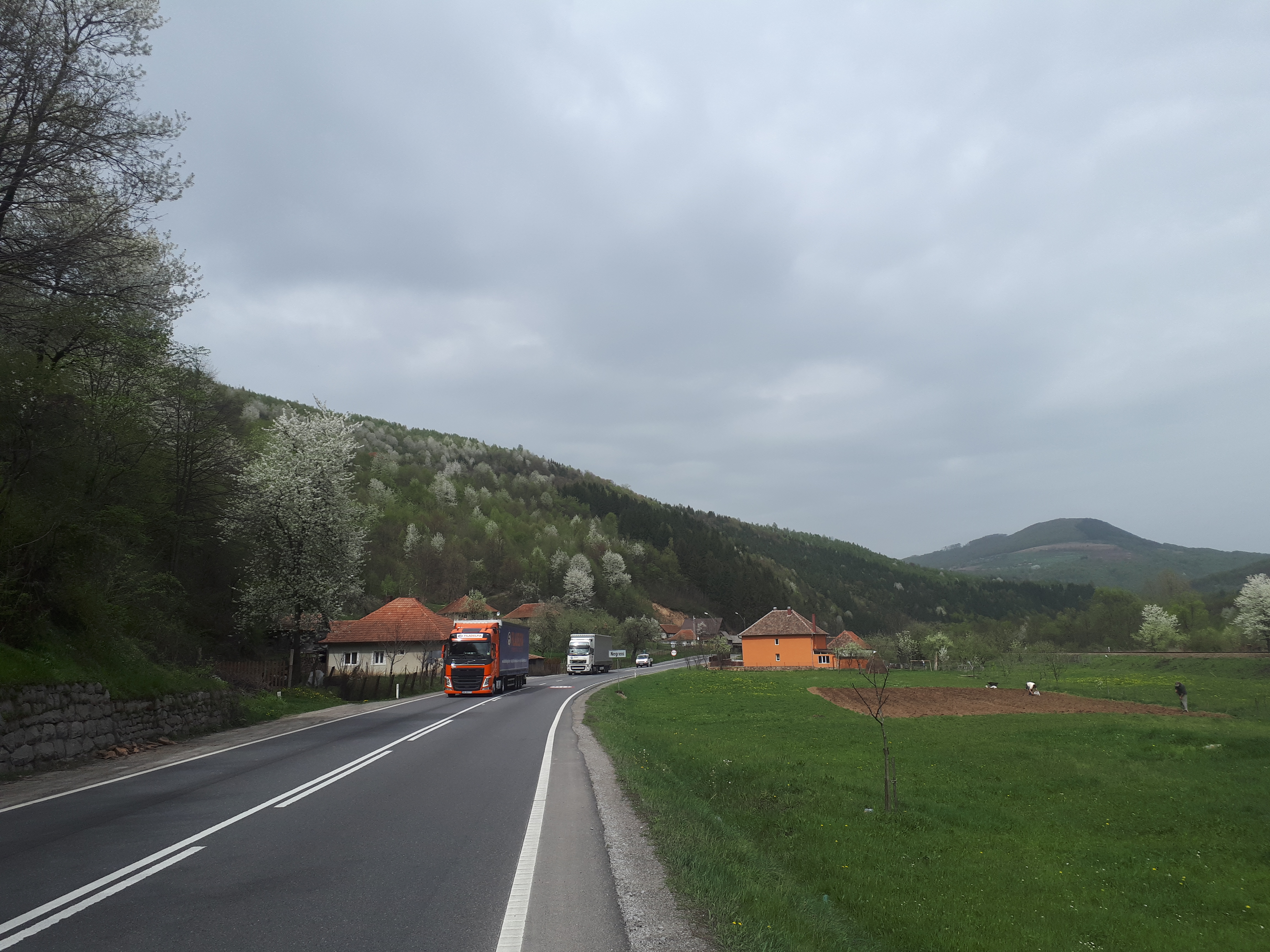 루마니아 상크라이우 전통 헝가리 가옥과 도로와 초원