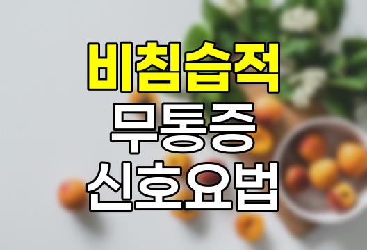 허리 통증 비침습적 무통증 신호요법 실비보험 적용