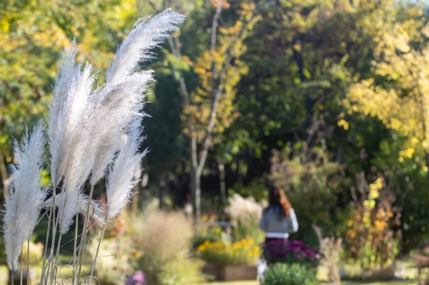 특색있고 아름다운 민간 정원 30선 추천 여행 - 11. 경주 야생화일기 정원