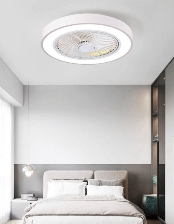 서큐라이트 추천 제품 LIST 4