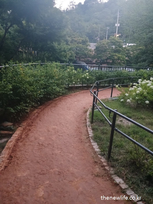 아차산 숲속 황토길 맨발 걷기 전경