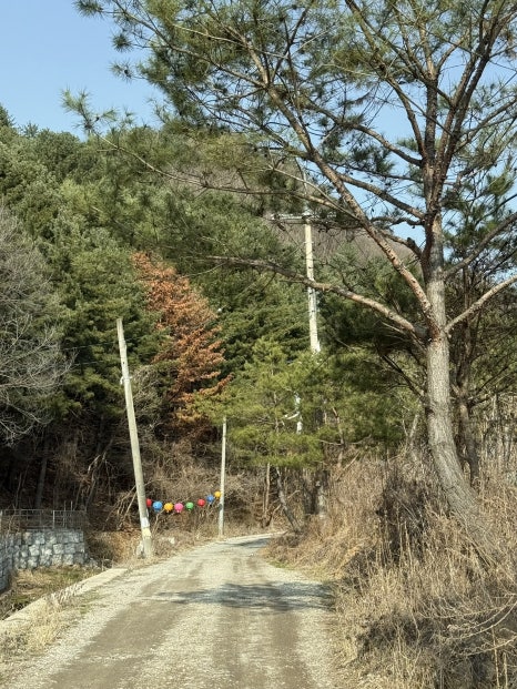 캠프 오후4시