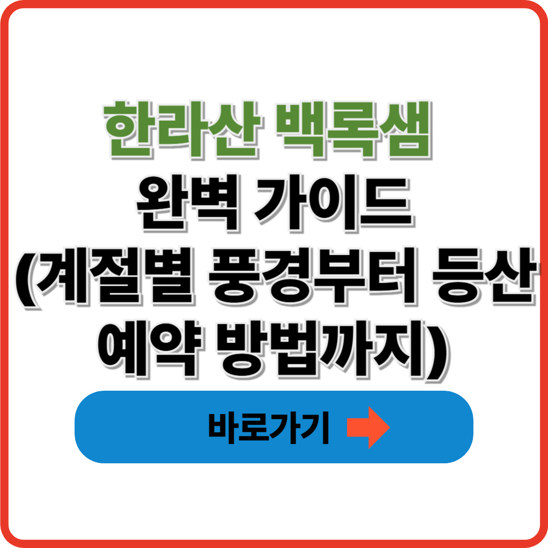 한라산 백록샘 완벽 가이드｜계절별 풍경부터 등산 예약 방법까지
