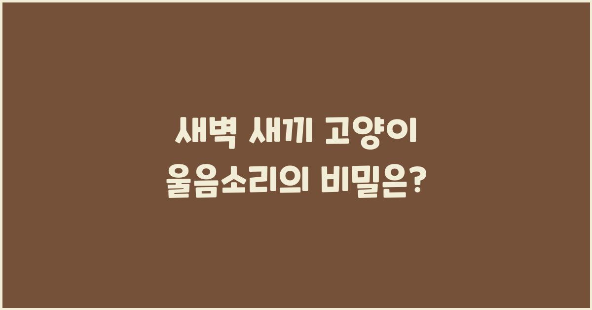 새벽 새끼 고양이 울음소리