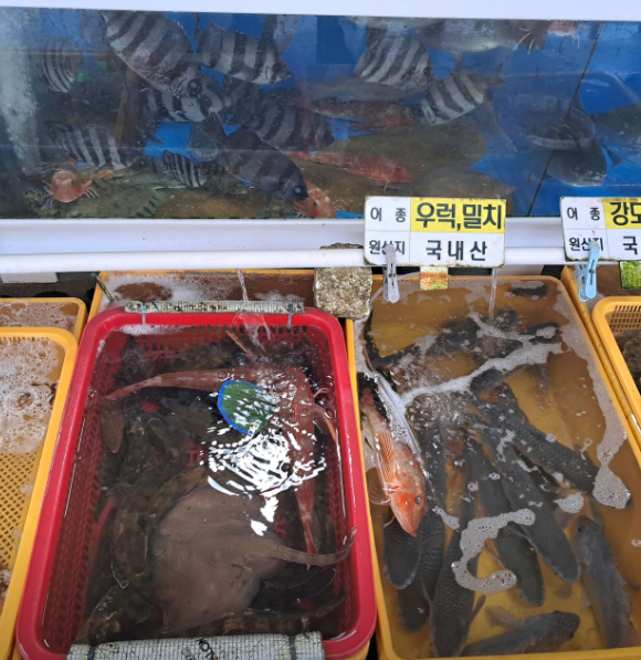 [6시 내고향] 경주 활어회직판장 횟집&amp;#44; 미역 택배주문 구매 정보