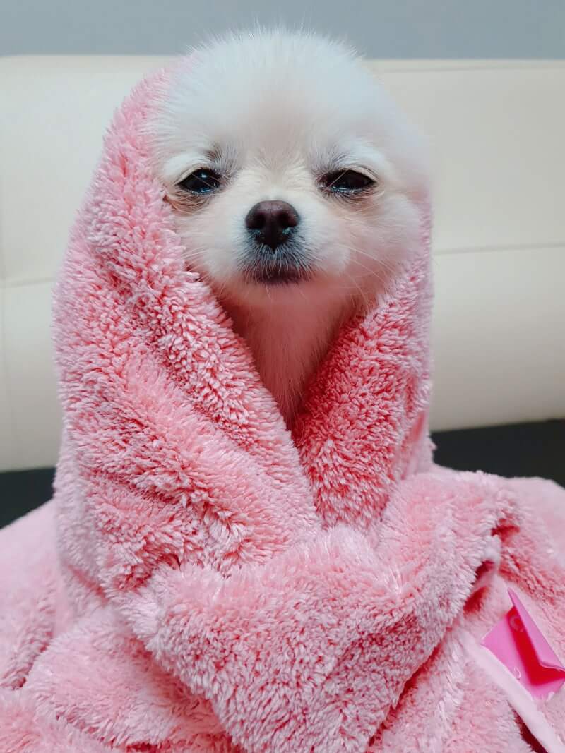 향기롭고 뽀송뽀송한 수건 